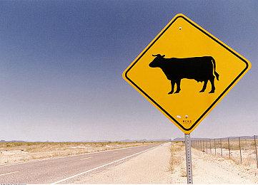 《饥荒》和《咩咩启示录》联动详情公开